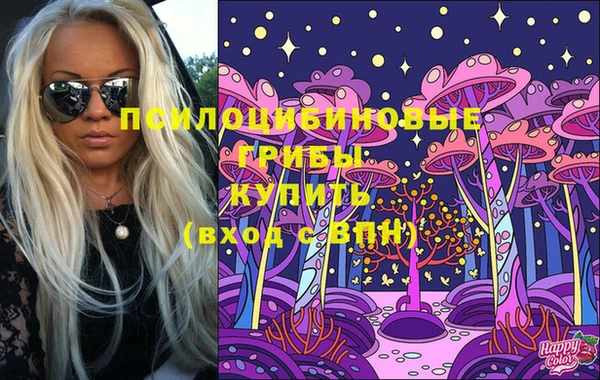 герыч Дмитров