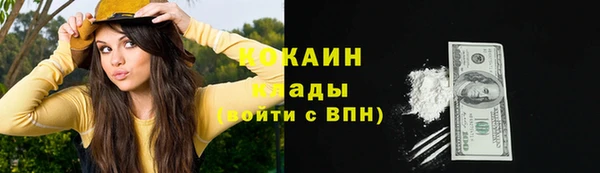 мяу мяу мука Дмитриев