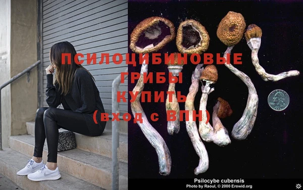 мяу мяу мука Дмитриев