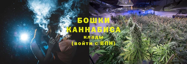 мяу мяу мука Дмитриев
