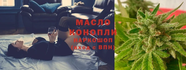 мяу мяу мука Дмитриев